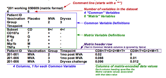 Fig. B: Major components of the matrix format